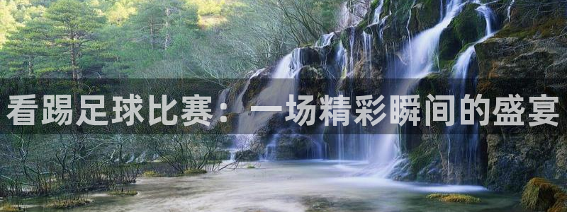 杏耀3平台注册