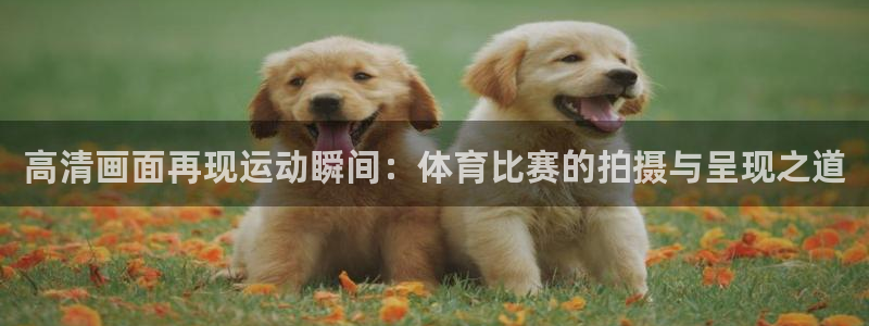 杏耀kgame