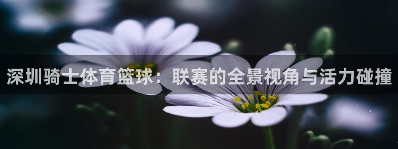 杏耀登陆测速